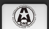 A1